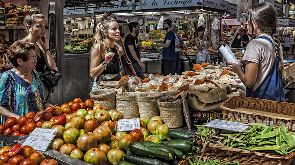 Mediterranean Diet, Fat Loss & Health: A Guide