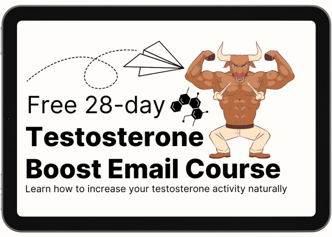 Testosterone Boost Course