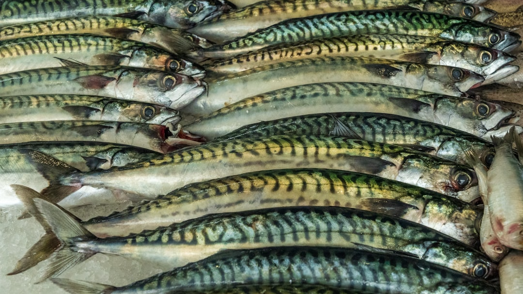 Superfood: Oily Fish