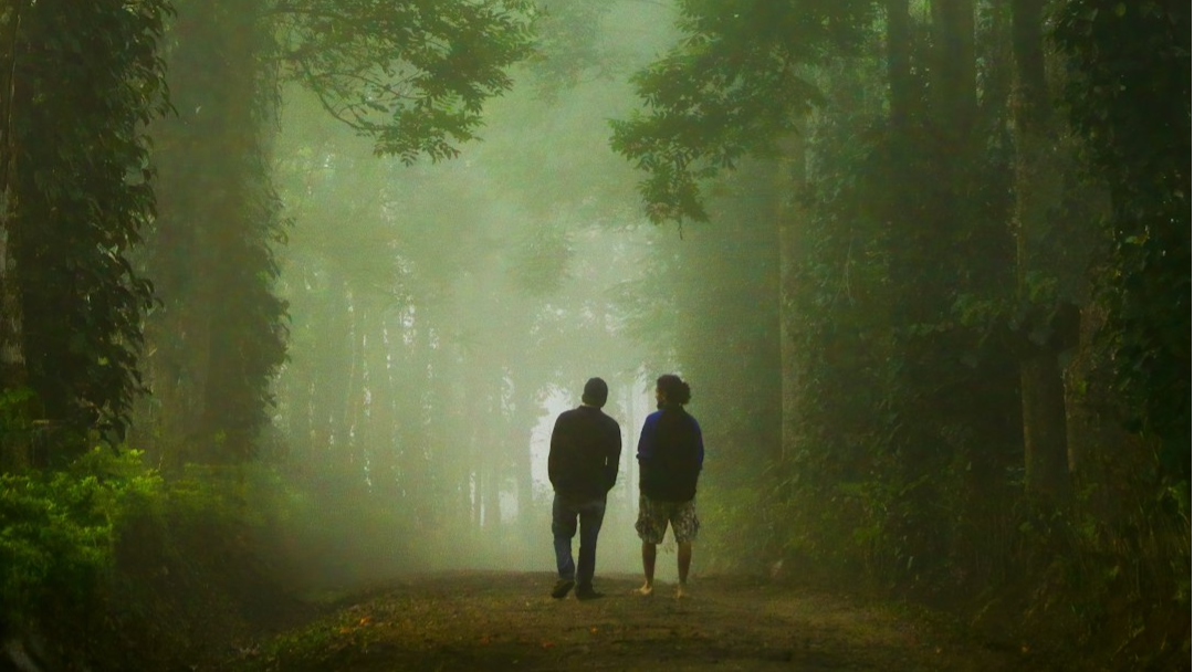 6 Ways to Decrease Cortisol