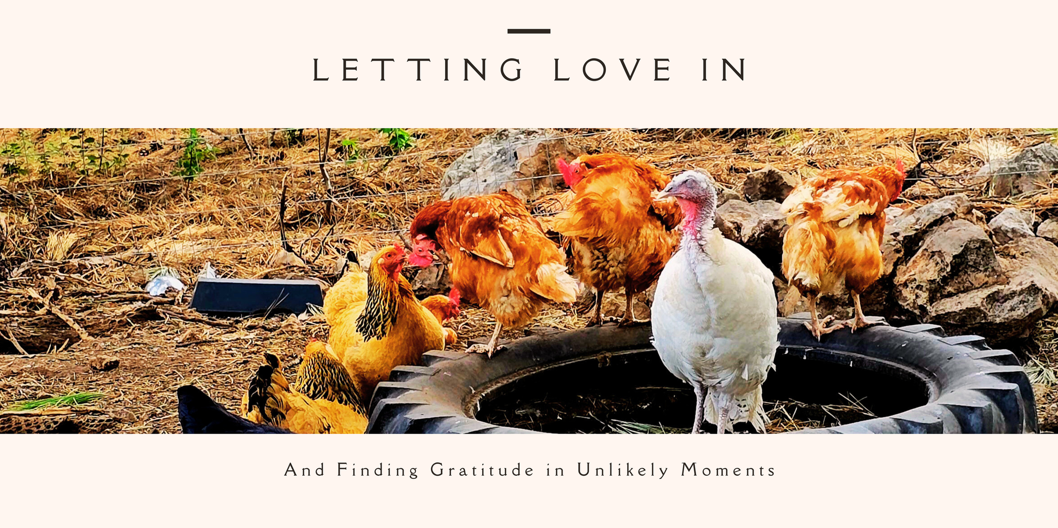 Letting Love In, and Finding Gratitude in Unlikely Moments