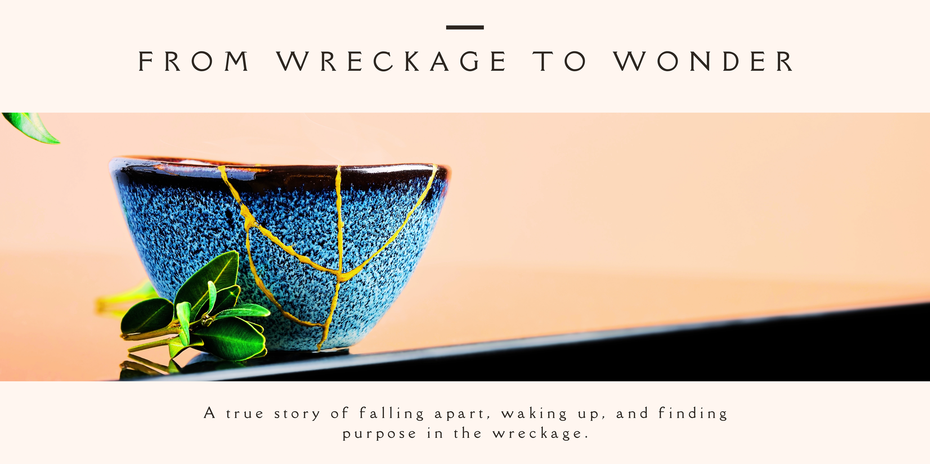 From Wreckage to Wonder