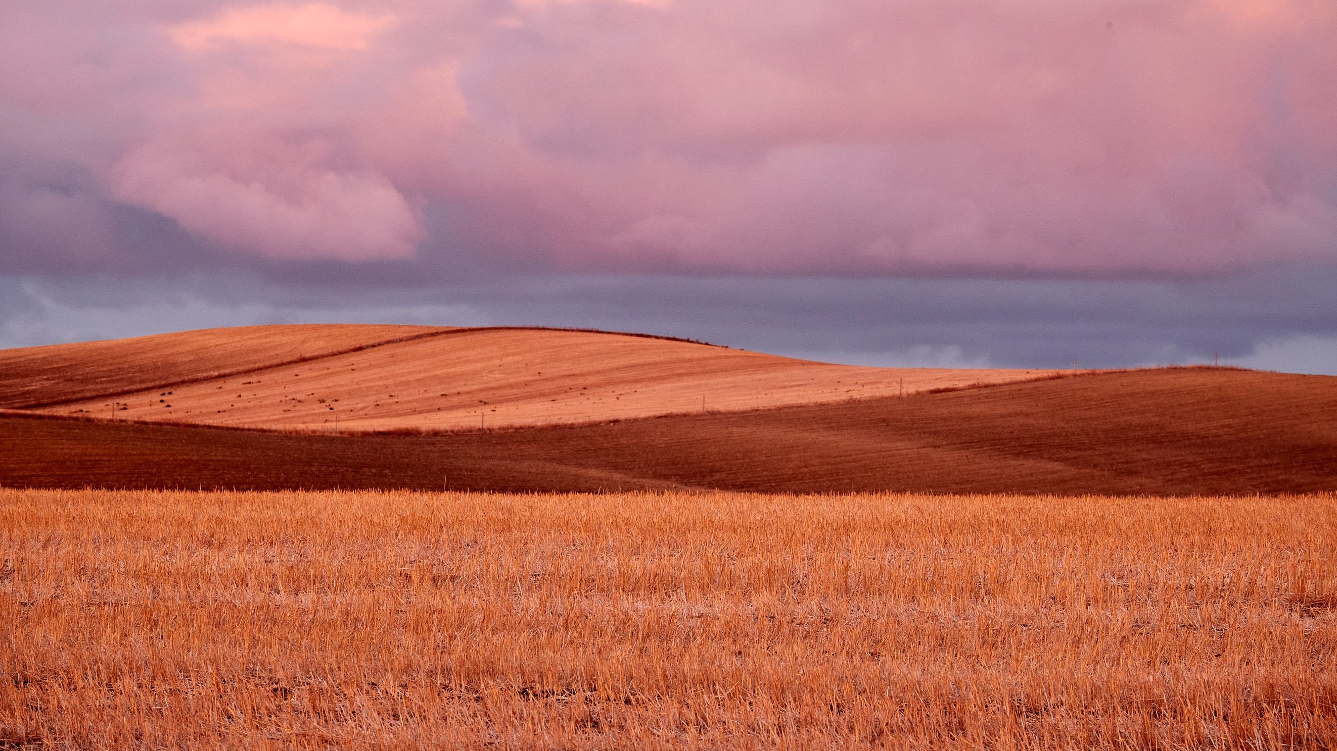 Luis Caballero@Mallorca