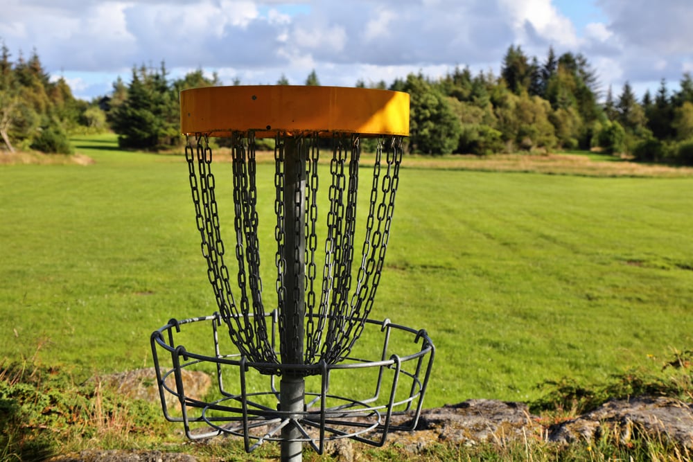 What's Your Disc Golf?
