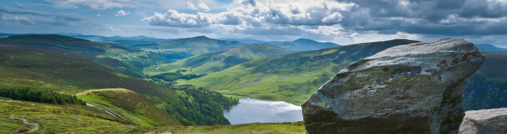 Sheep at Croagh Patrick, Co. Mayo, Ireland: https://www.flickr.com/photos/panpanlin/