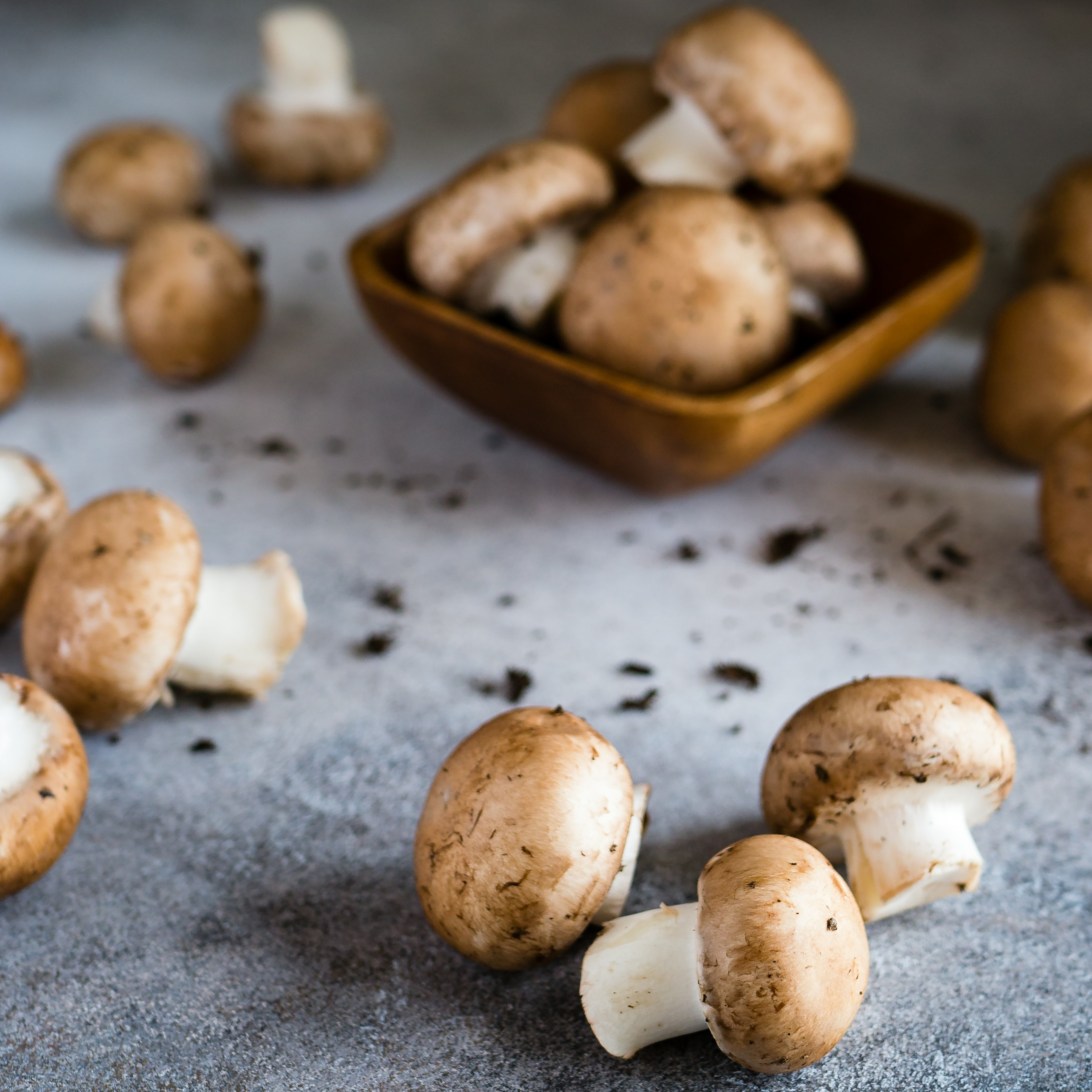 Mushrooms: Small, Savory, and Surprisingly Powerful