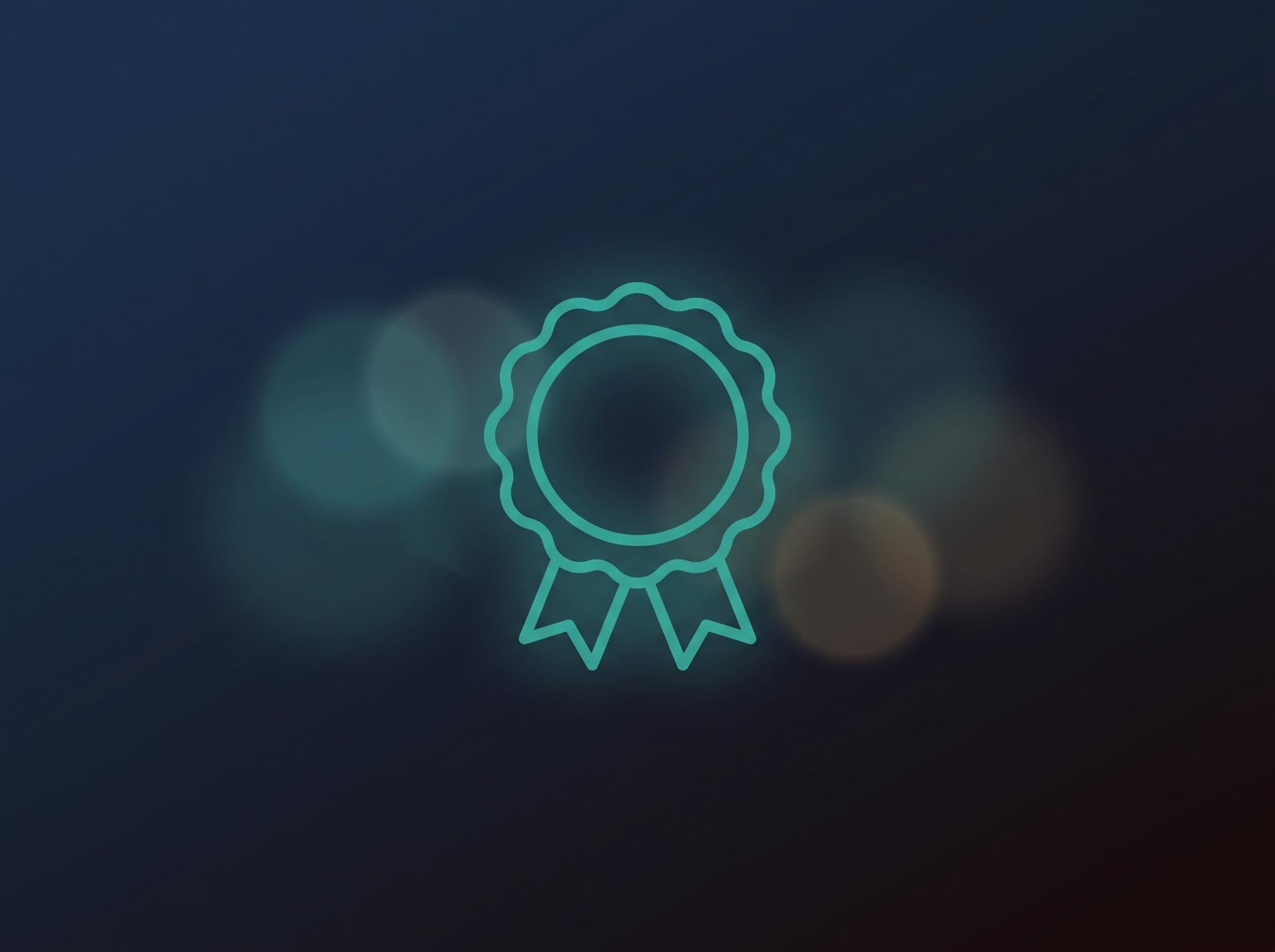 digital champion