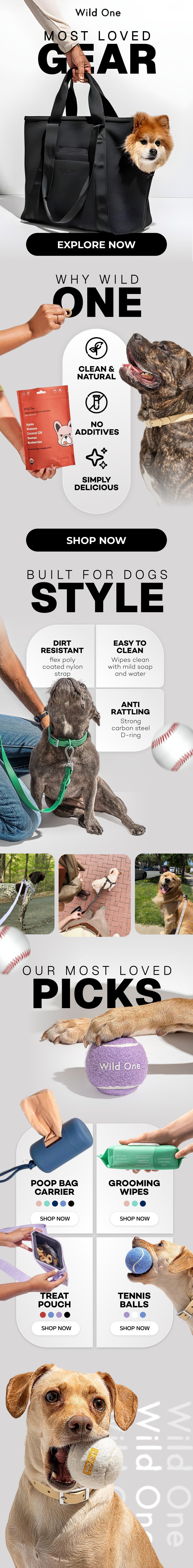 Email design sample 13