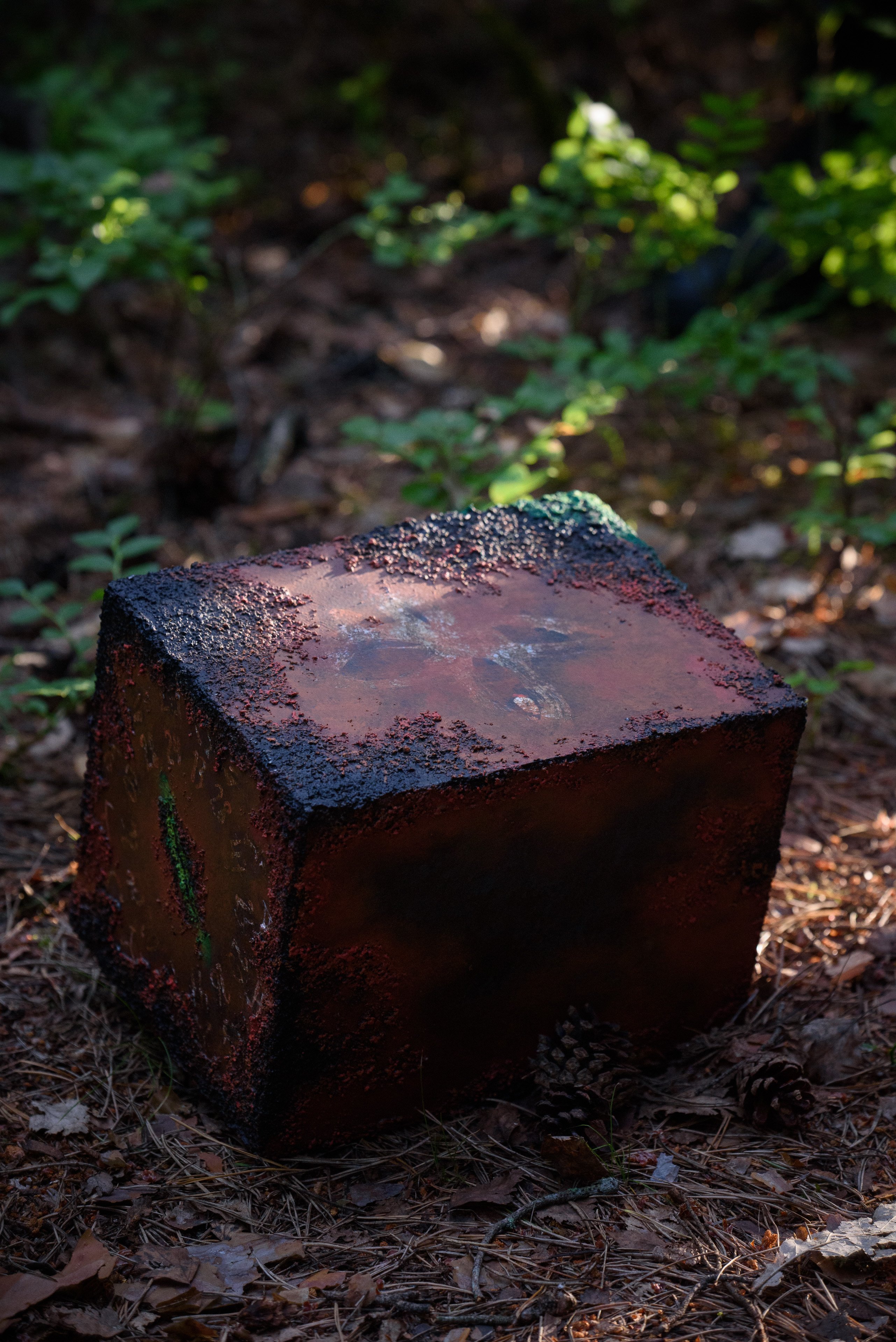 Picture: Beacon