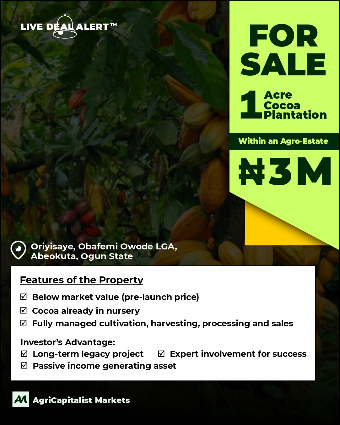 Cocoa Plantation Abeokuta