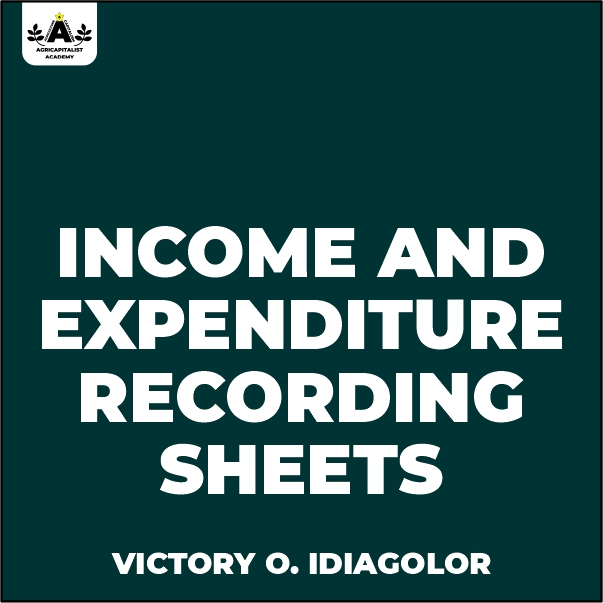 Income & Expenditure Template