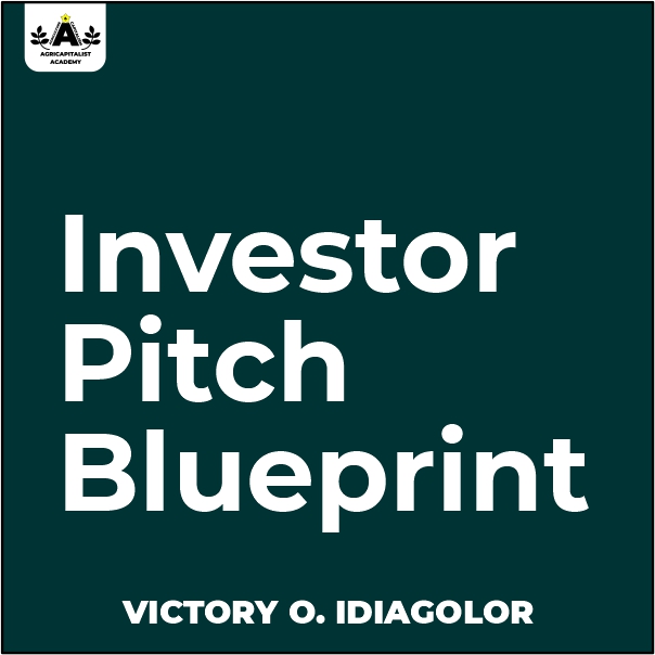 Investor Pitch Blueprint