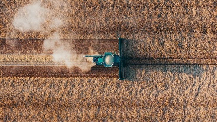 From Survival to Scale