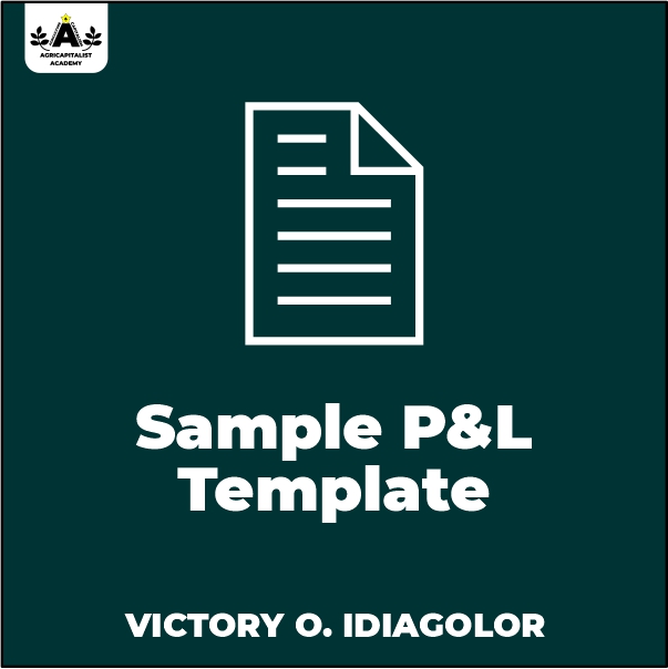 Profit & Loss Template