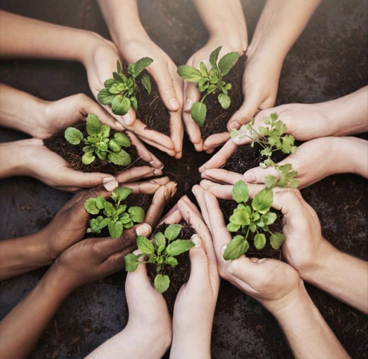 Photo showing hands sowing together, demonstrating the AgriCapitalism Model