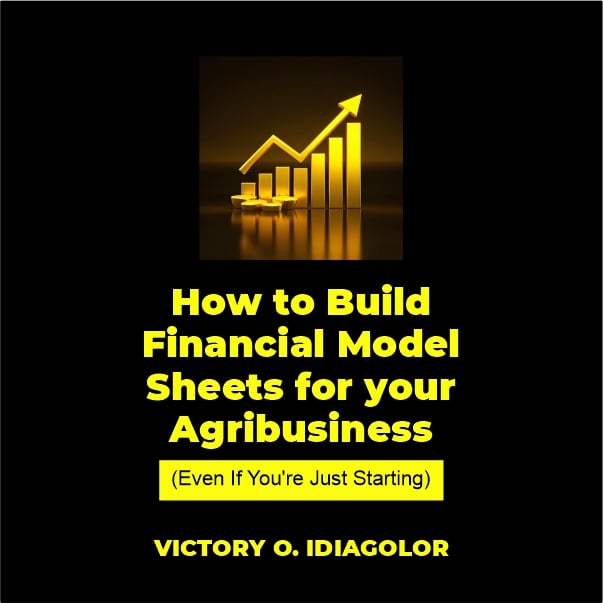 How to Build Financial Model Sheets for Your Agribusiness