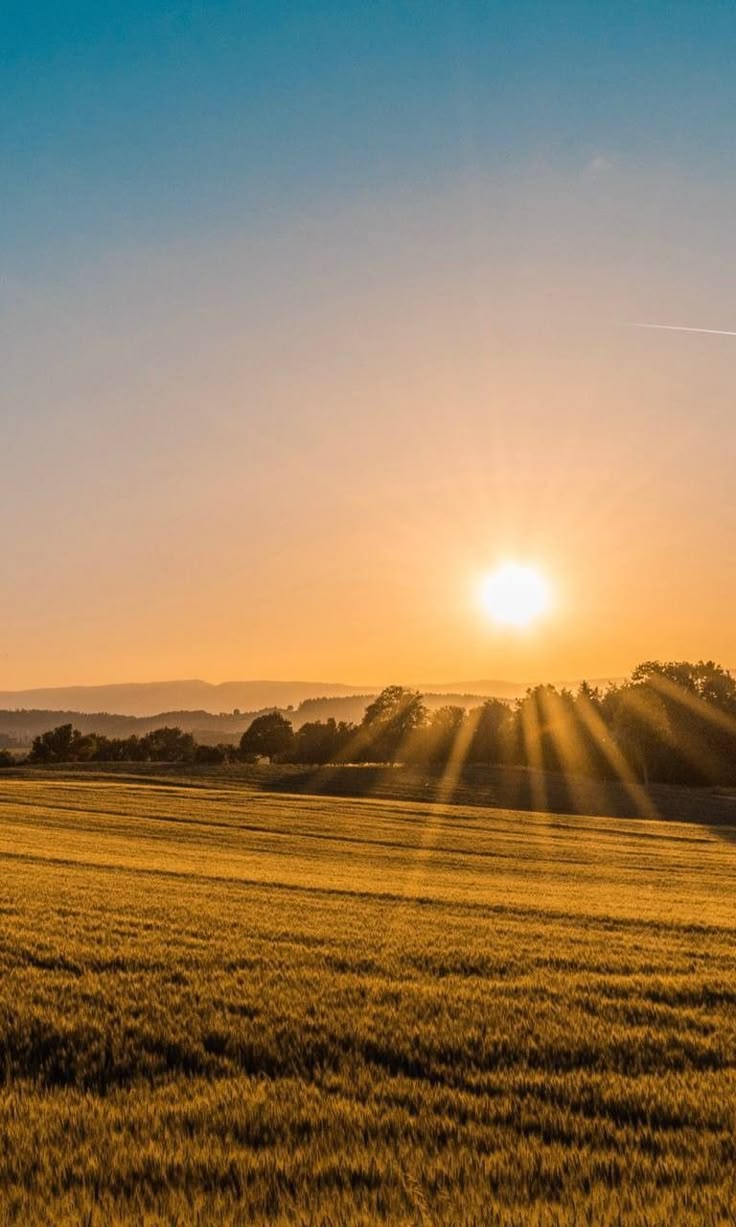 Landscape view of a plain with sunshine