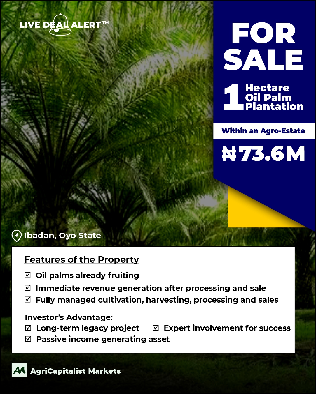 Oil Palm Agro-Estate Ibadan