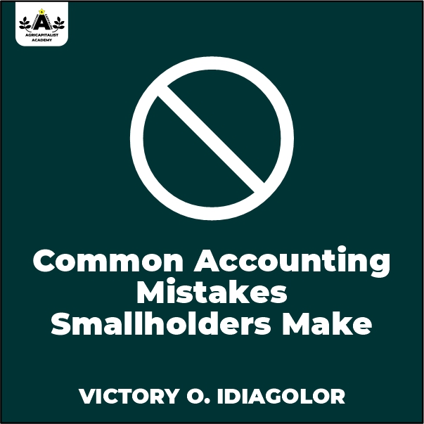 Accounting Mistakes Guide