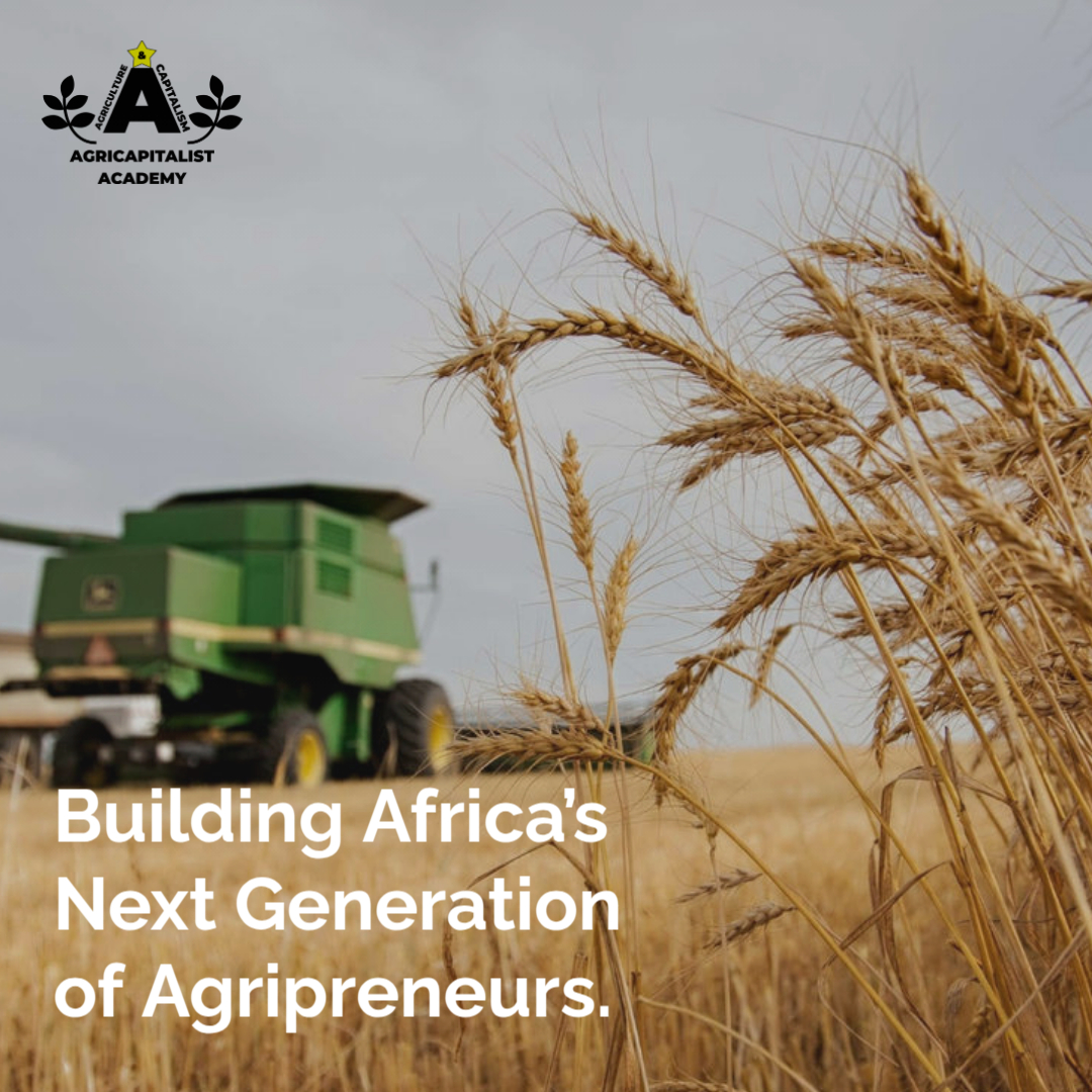 Infographics that states building Africa's next generation of agripreneurs