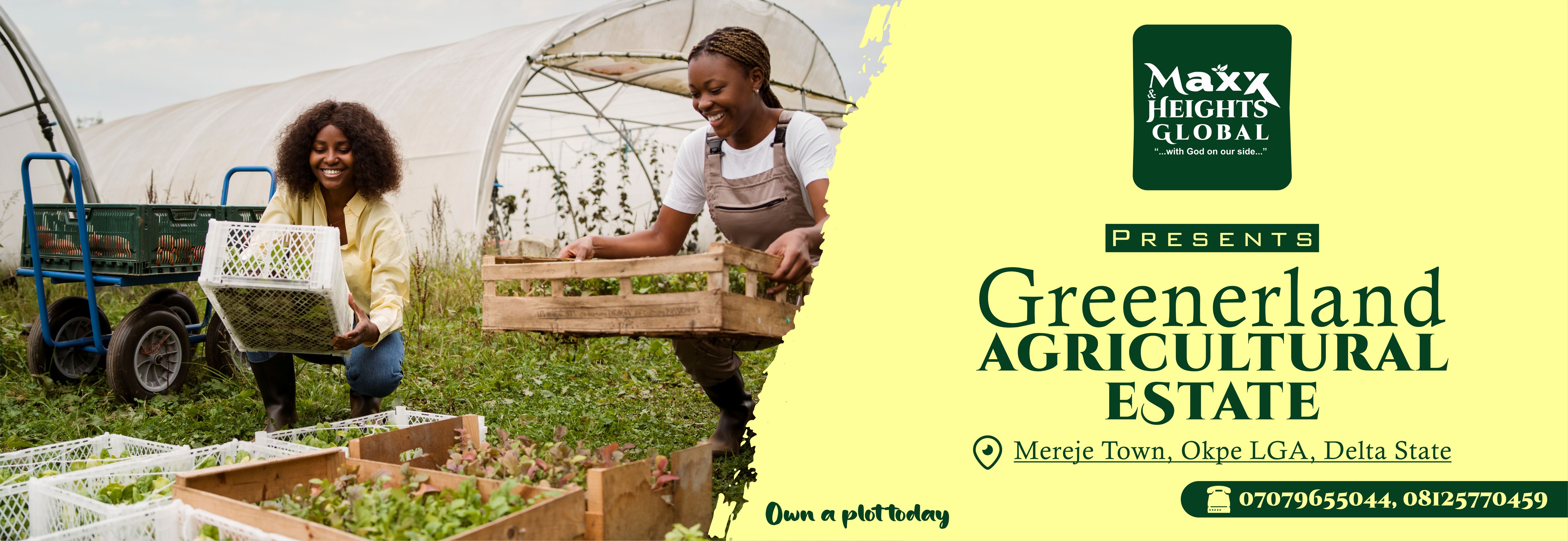 Greenerland sales flyer