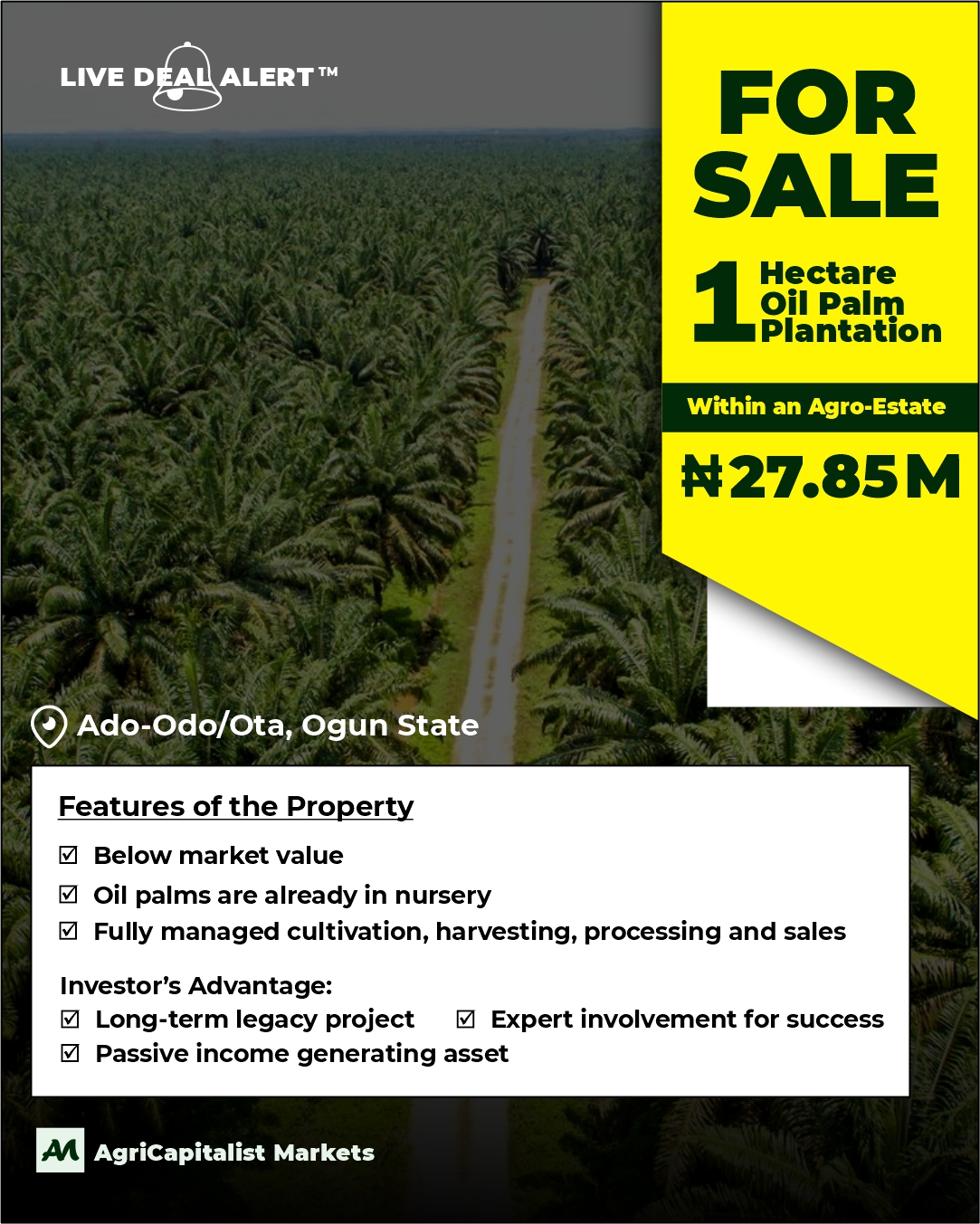 Oil Palm Agro-Estate Ado-Odo