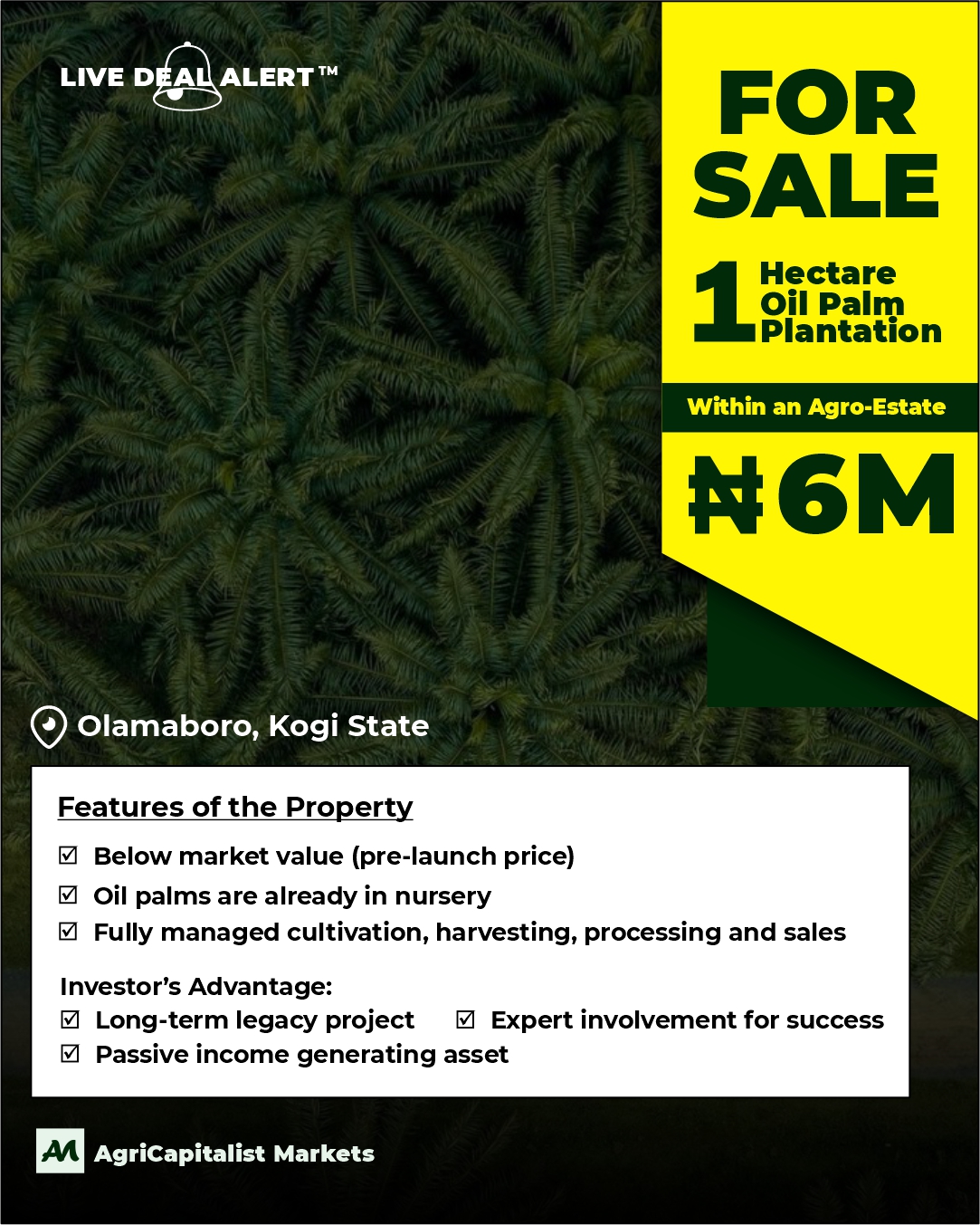 Oil Palm Agro-Estate Olamaboro