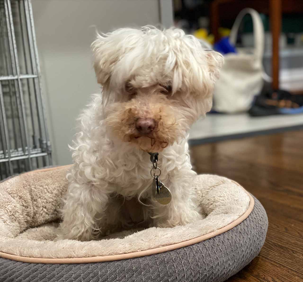 Reflecting on Murphy and the Responsibilities of Privilege