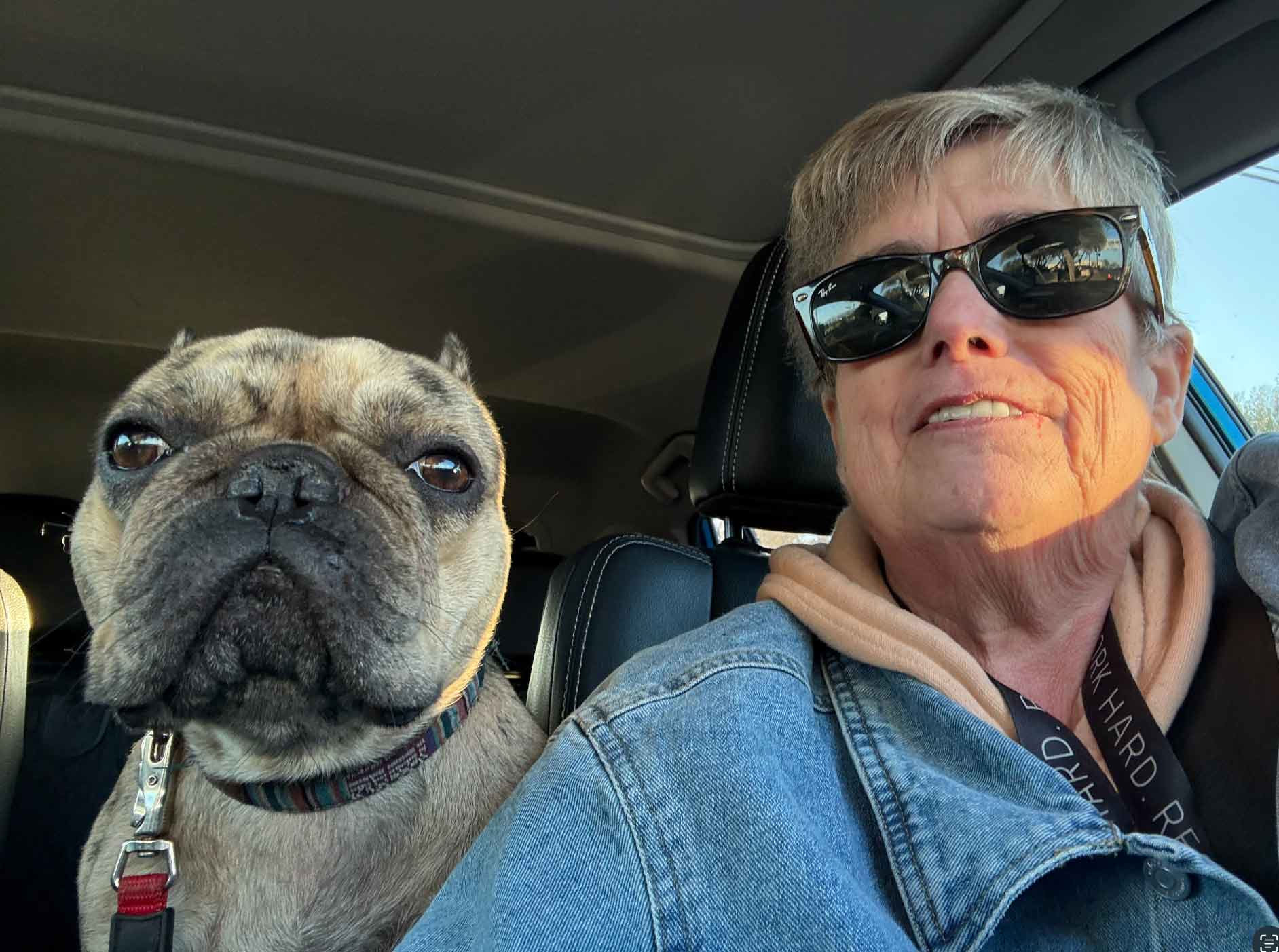A dog sits next to a volunteer in a car front seat, while being transported. The dog is a beige and black mottled small bull dog mix of some kind, with a snout nose and huge brown eyes. The volunteer is a white woman with short grey hair and sunglasses, smiling.
