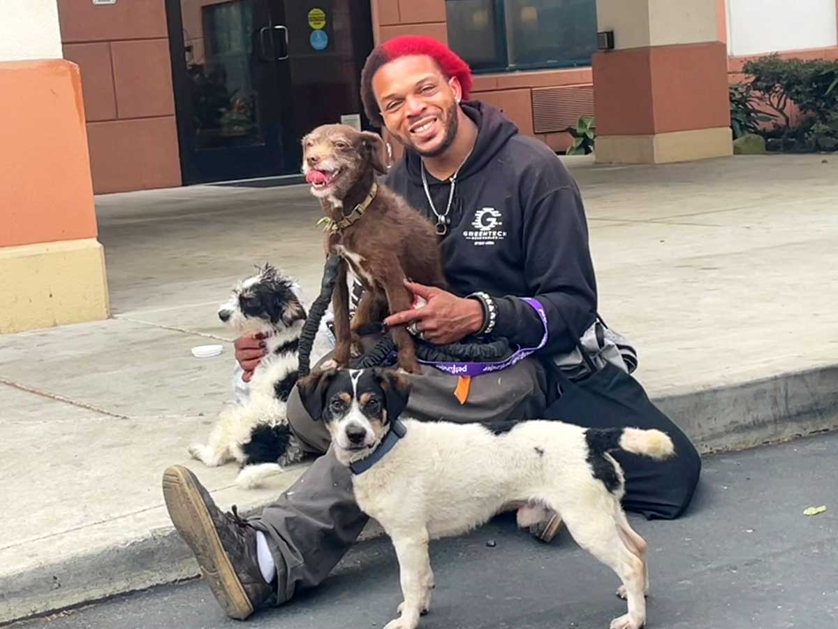 A smiling man sits on the curb holding his three happy dogs. He is a Black man, youngish, with hair that is black and red, half black and half red. His dogs are smallish, two white with dark spots and one on his lap, brown with a pink tongue.