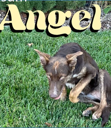 A Tale of Two Cities