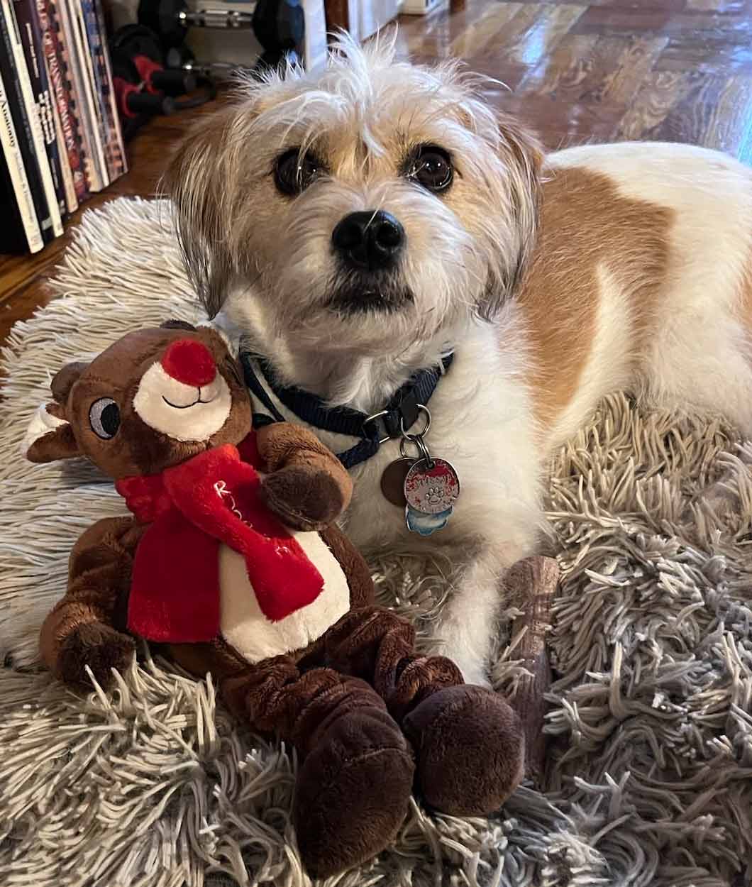 A Reflection on the Holiday Season