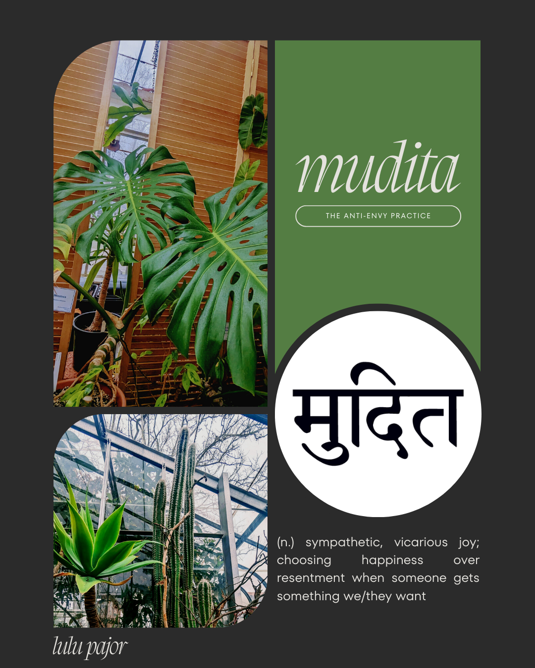 Mudita Meditation - Practice at Home