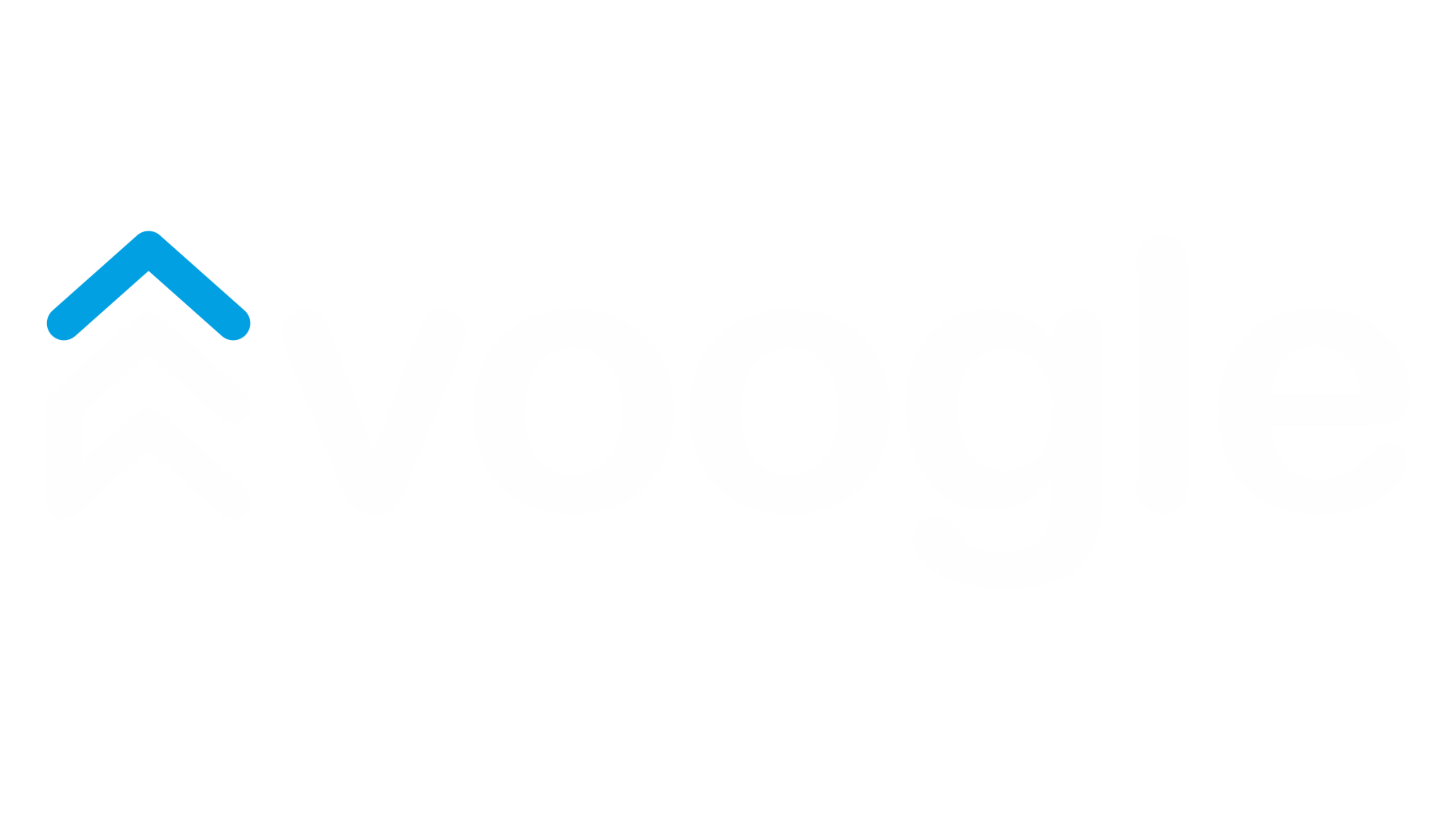 voogle