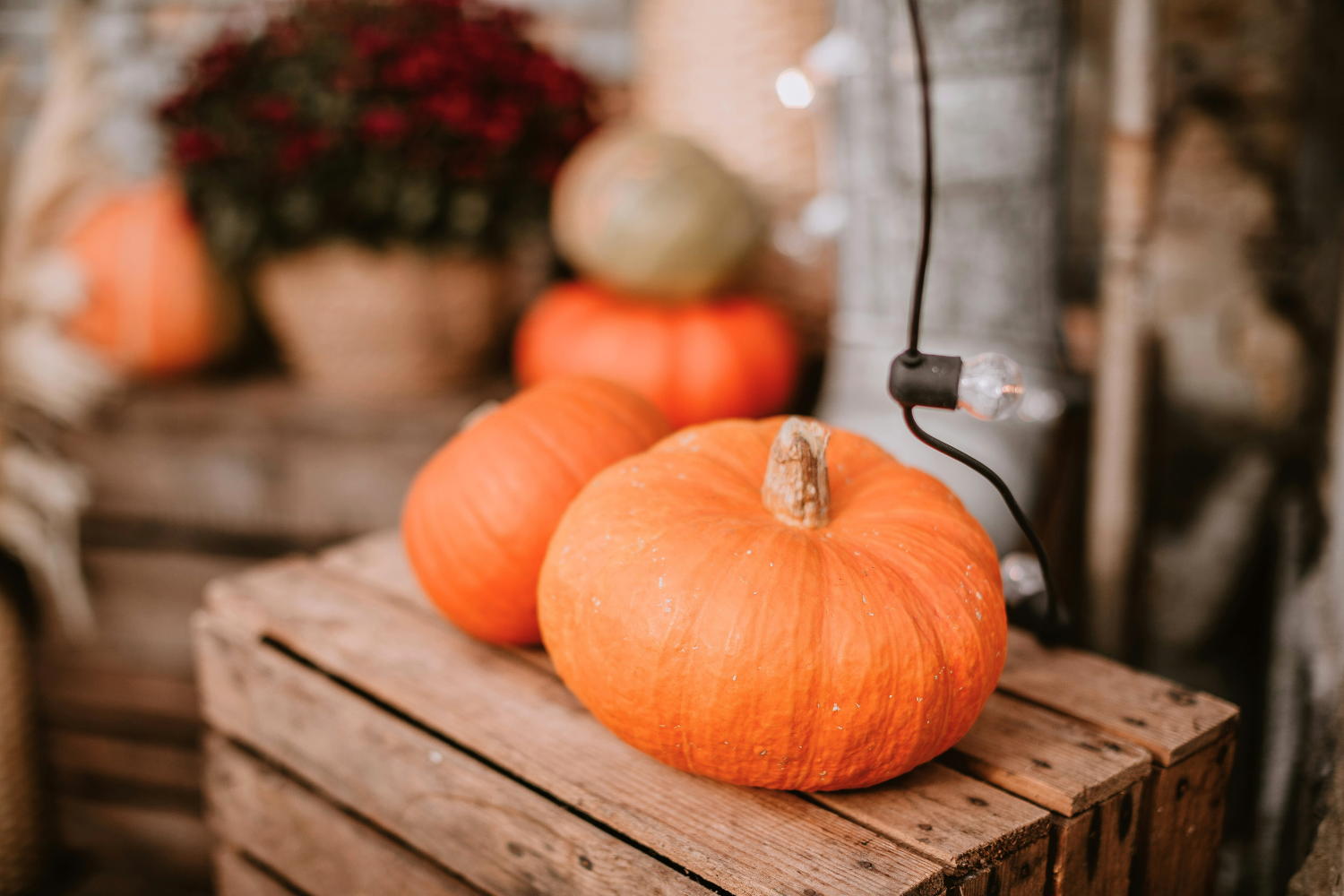 Close-up of small orange pumpkins on a rustic wooden crate with a cozy autumn background — a warm, simple real-life Halloween scene.