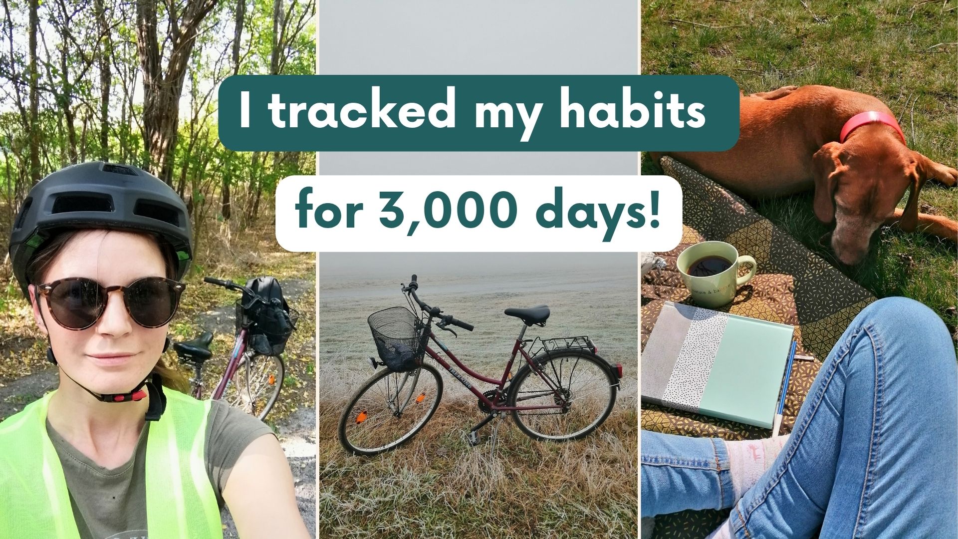 I Tracked My Habits for 3,000 Days – What It Taught Me About Learning Hungarian