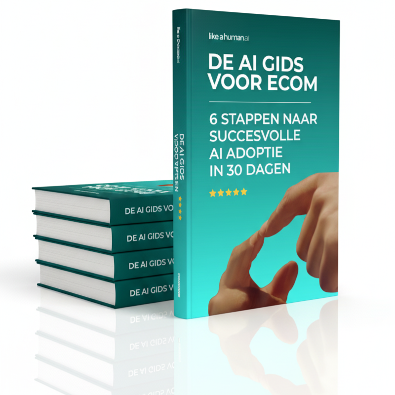 AI gids voor ecom