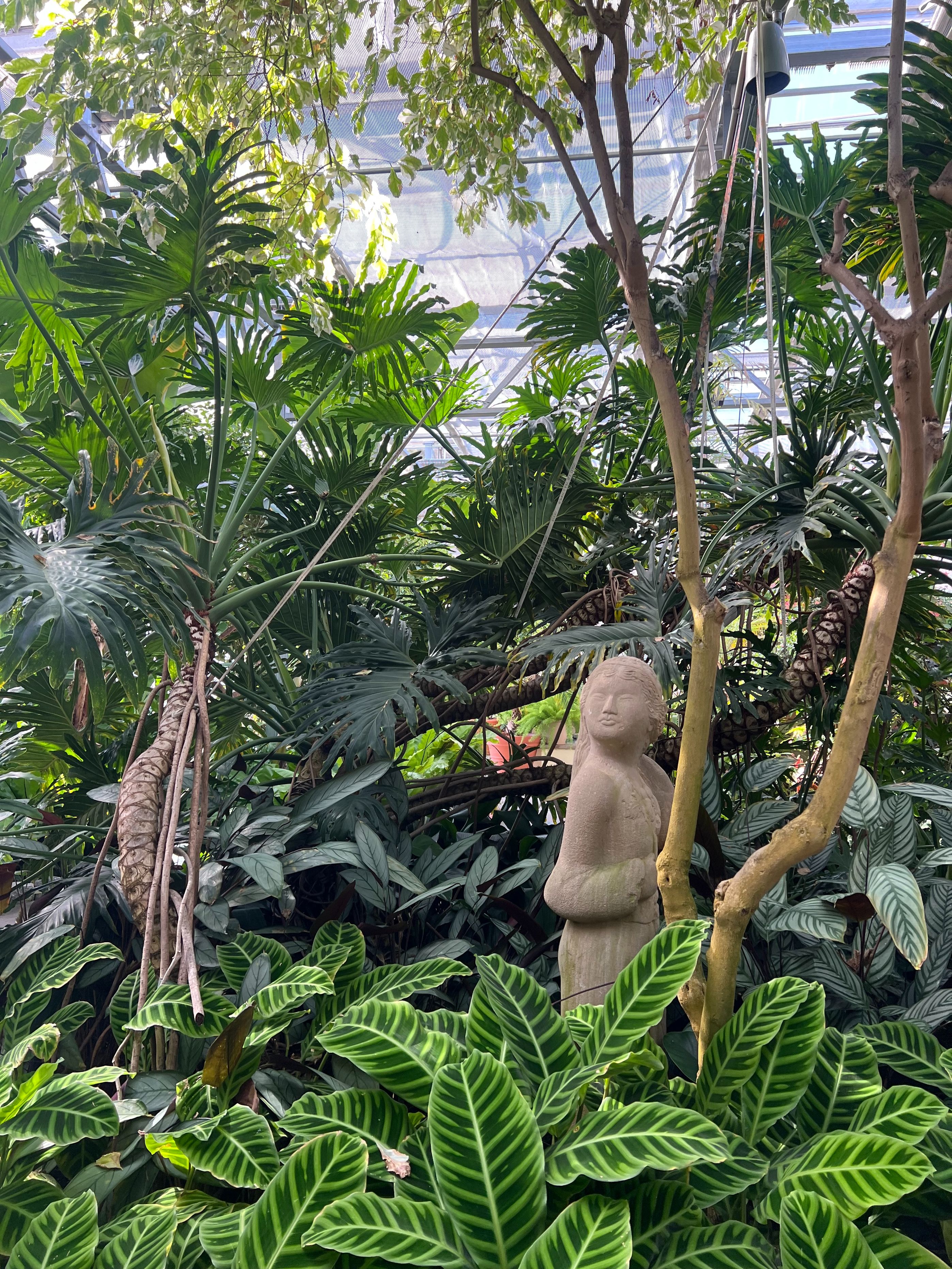 meaningful-connections