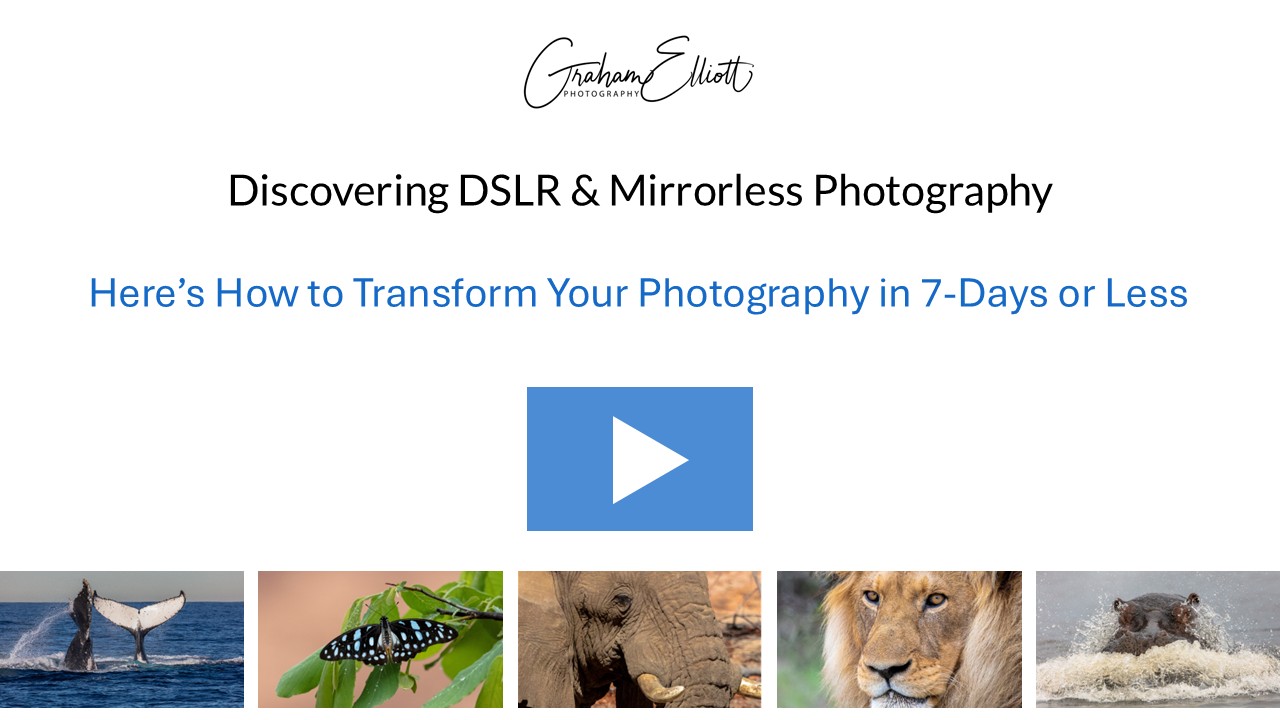 Let me tell you about Discovering DSLR and Mirrorless Photography