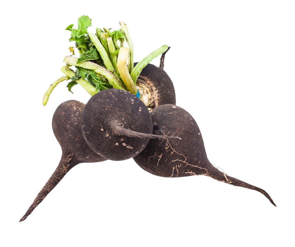 Fekete retek – a Fém elem nyákoldó, tüdőtisztító és epeműködést serkentő zöldsége