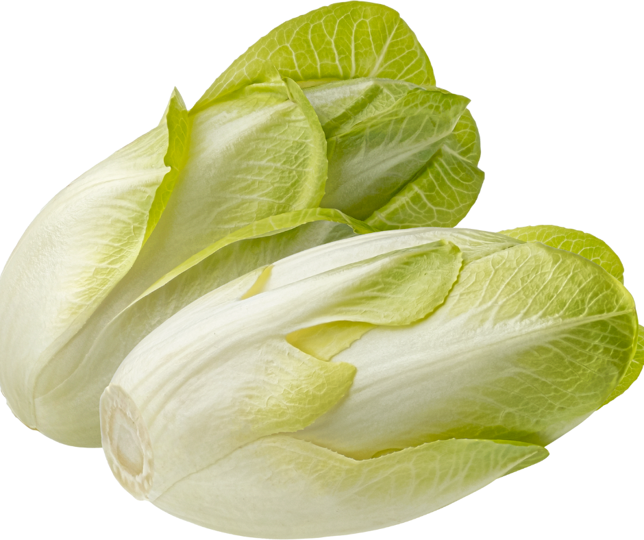 Cikória – a Tűz elem vértisztító, hűsítő zöldsége