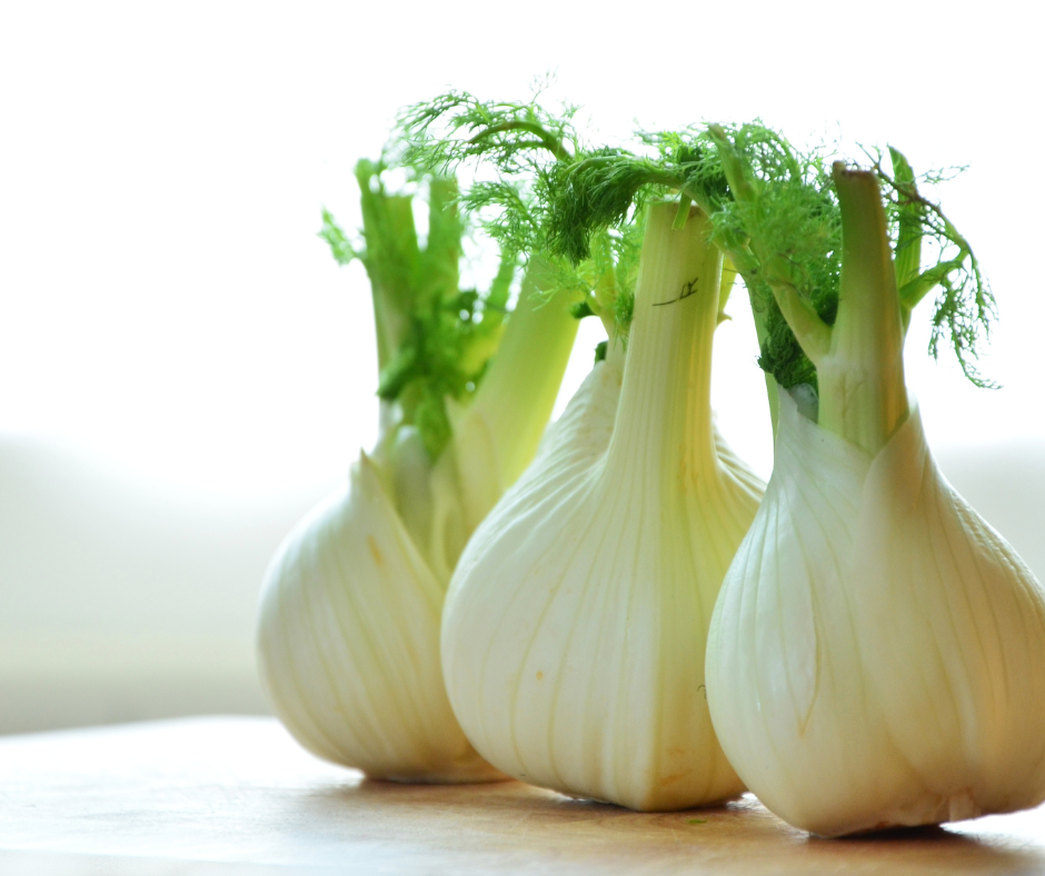 Édeskömény – a Föld elem melegítő, Qi-mozgató és görcsoldó zöldsége