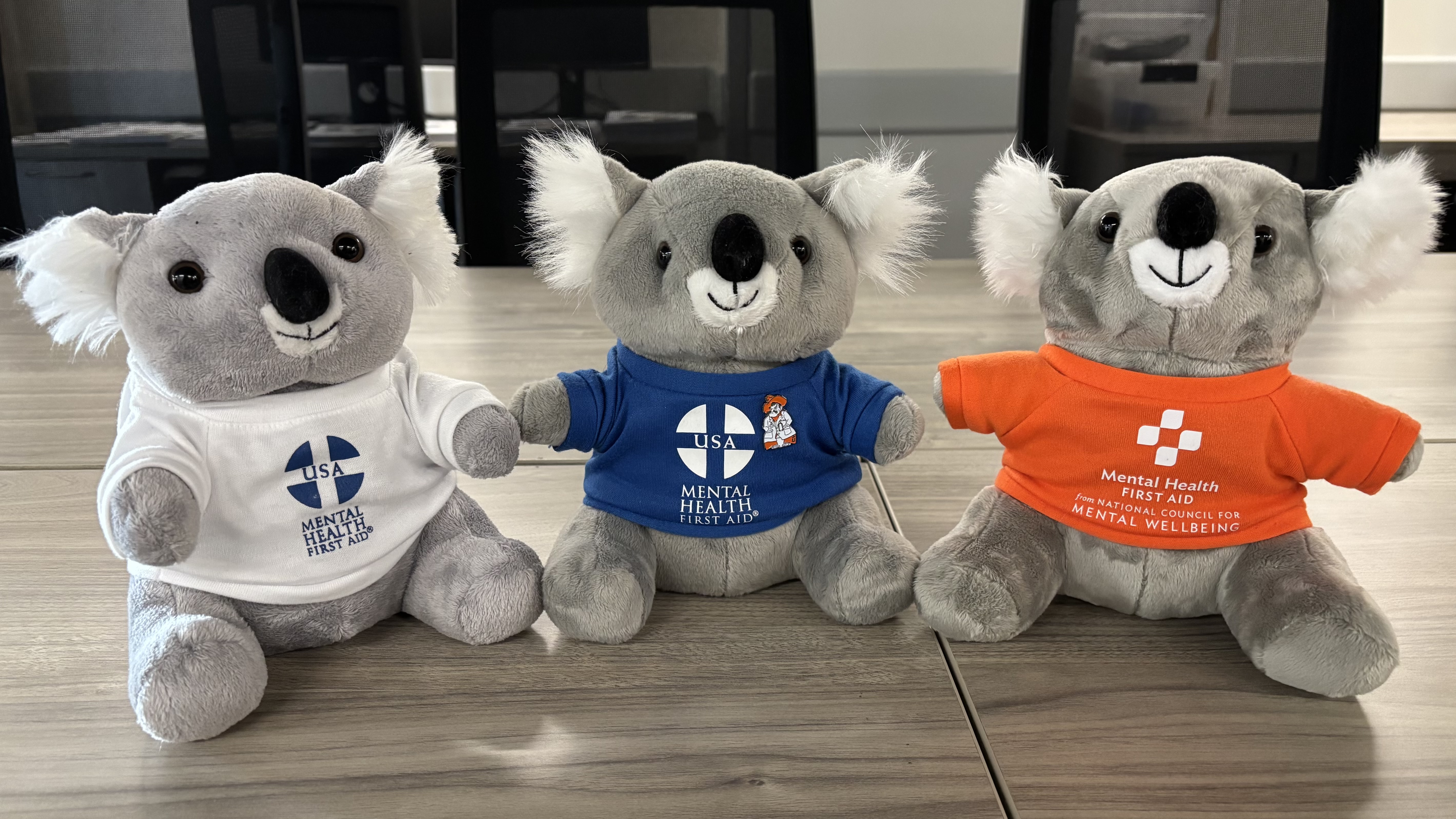Three stuffed koala toys wearing Mental Health First Aid t-shirts.