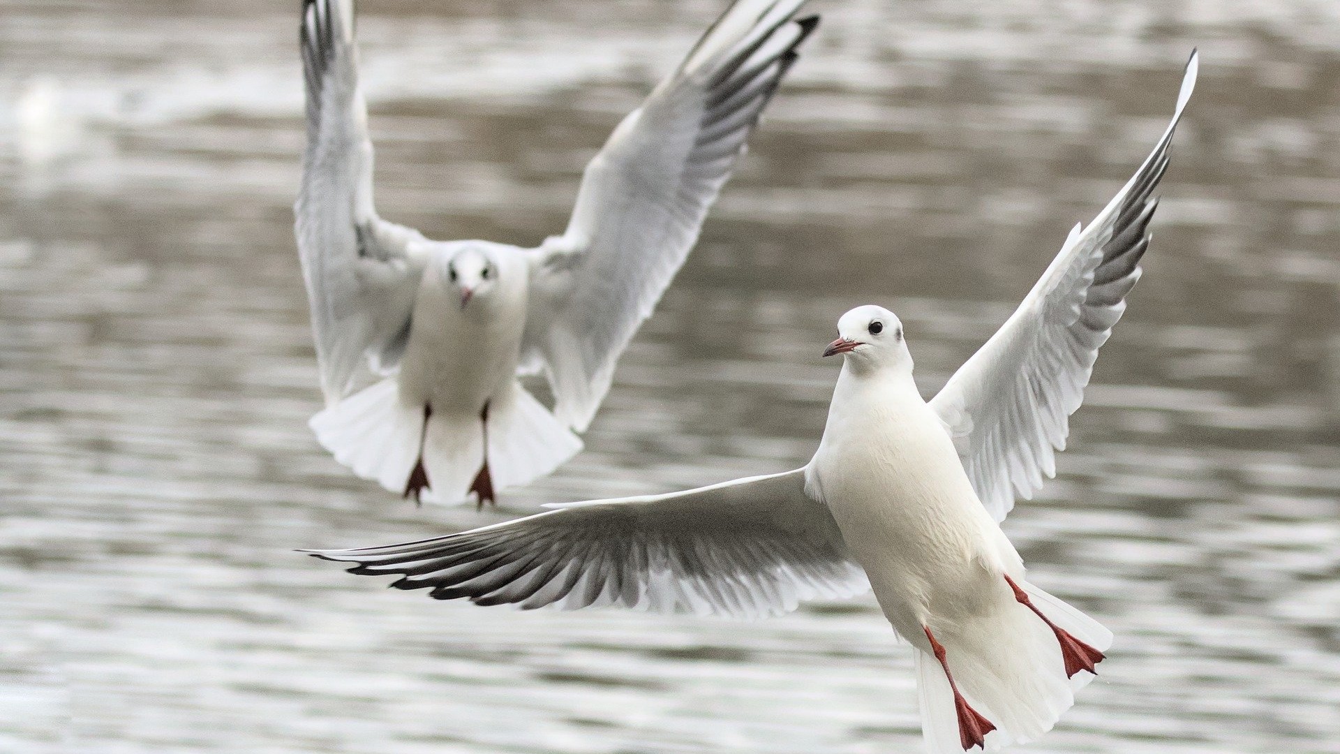 Go From Peeved To Pleasantly Surprised