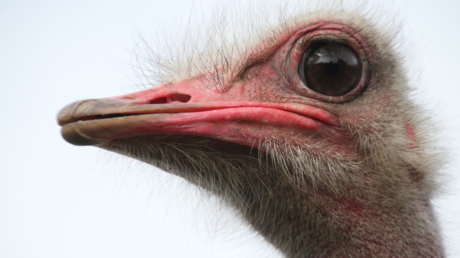 How To Have Difficult Conversations, Part I