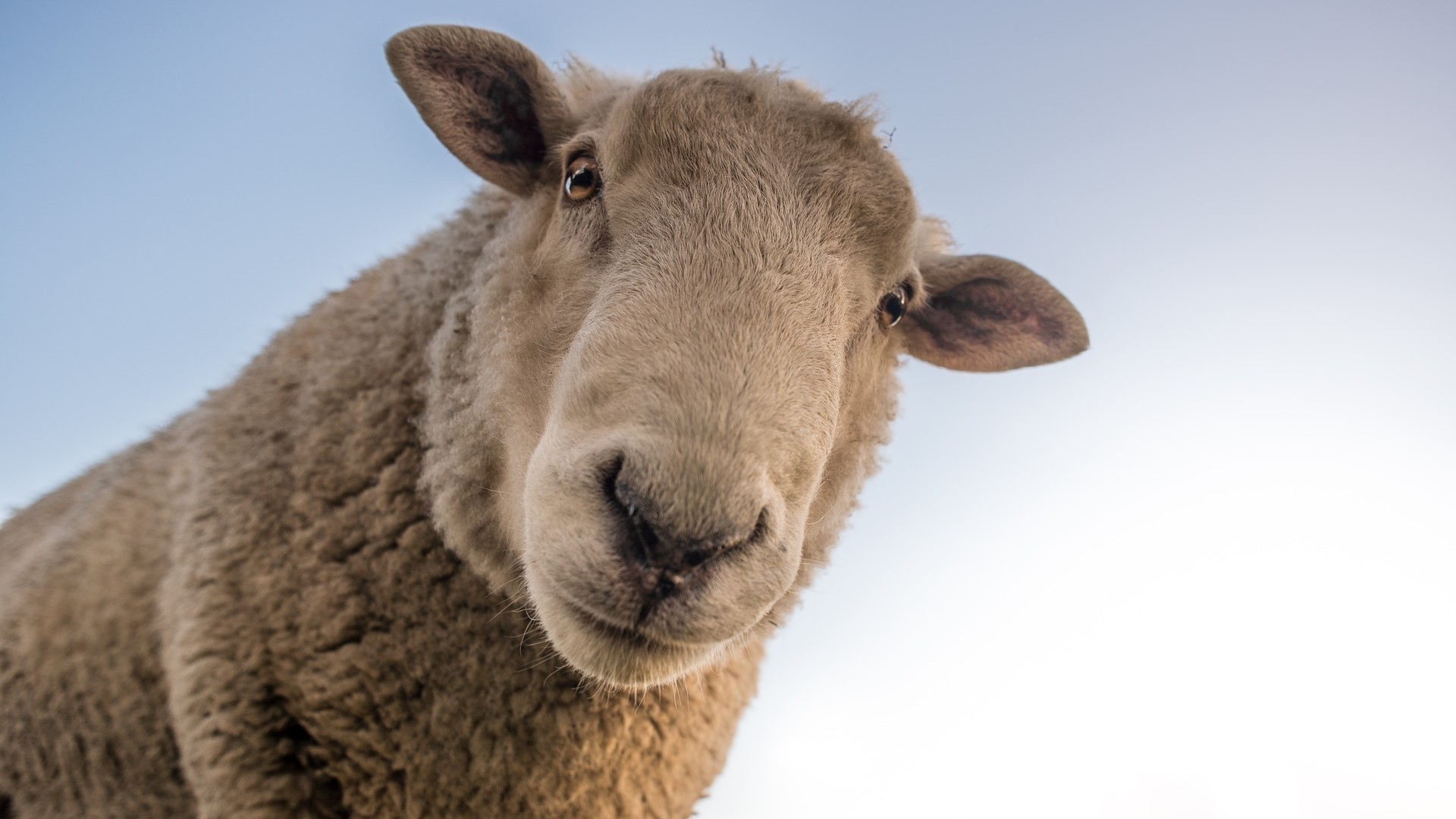 Try This On And Everything Will Change