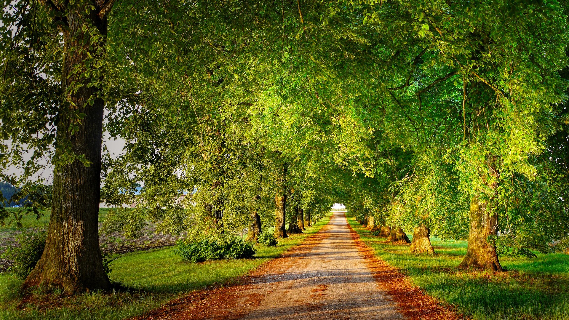 What's The Point of Purpose Anyway?