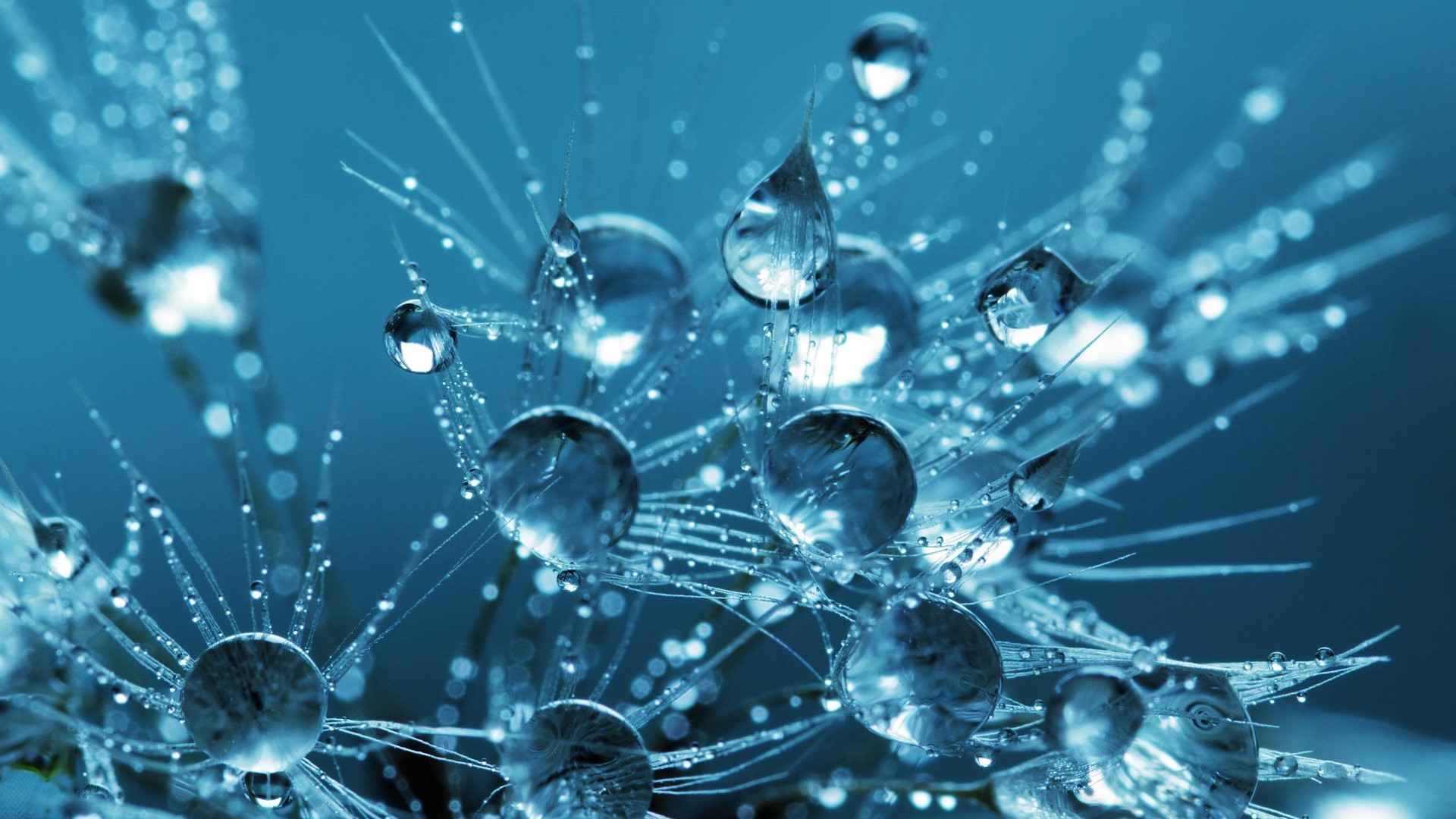 Transforming Conversations: I'm All Ears!