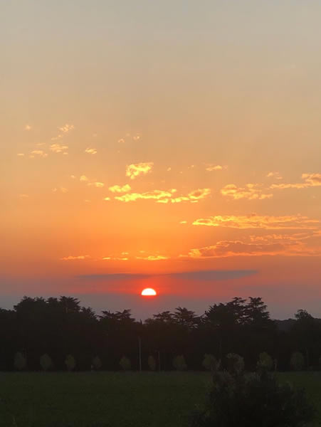 Chacra Bliss - Atardecer