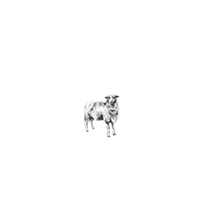 Familia Green - Hecho en familia